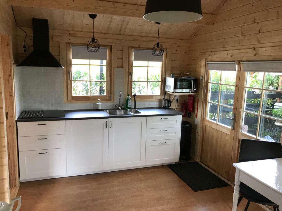 C'Est La Vie Villa Wanneperveen Exteriör bild